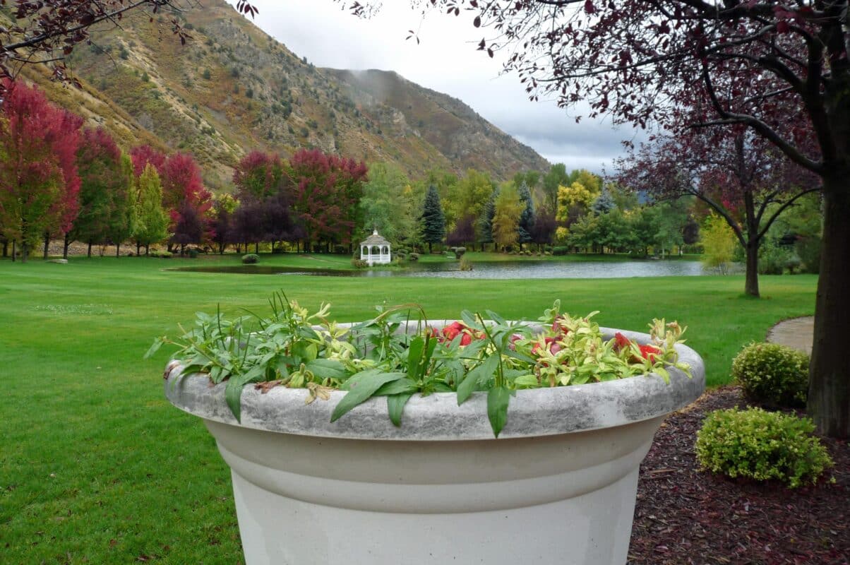 Flower Pot and Grounds